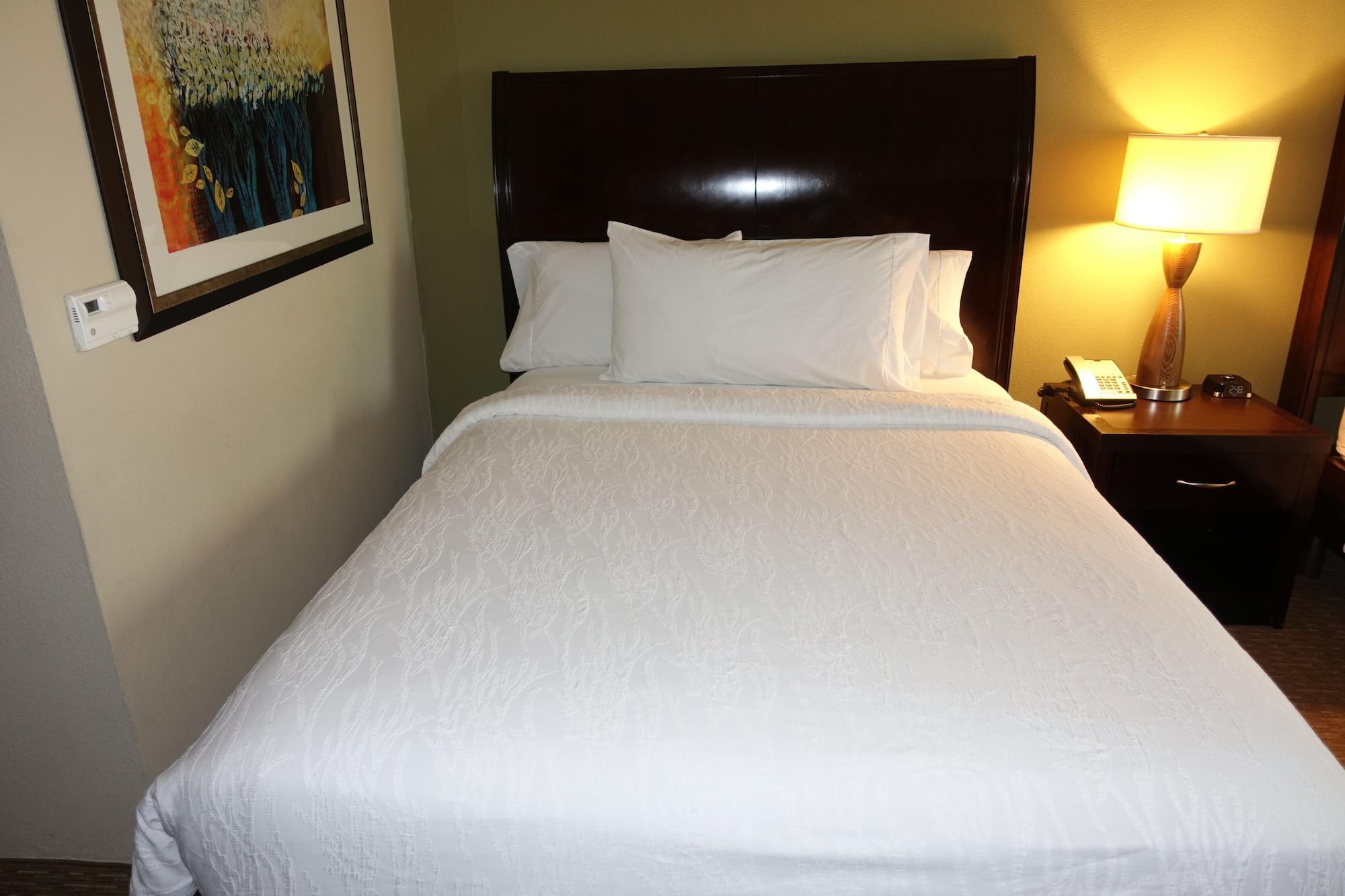 Hilton Garden Inn Houston-Пеарленд Екстер'єр фото